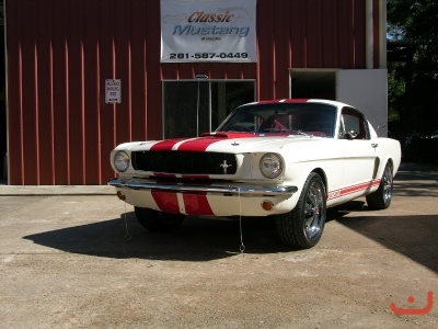 SHELBY CLONE_2