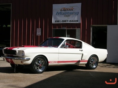 SHELBY CLONE_3