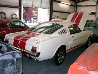 SHELBY CLONE_1