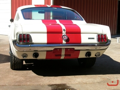SHELBY CLONE_4